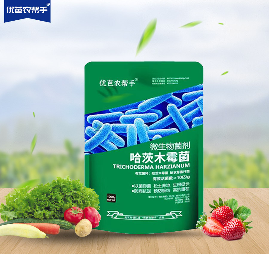 哈茨木霉菌